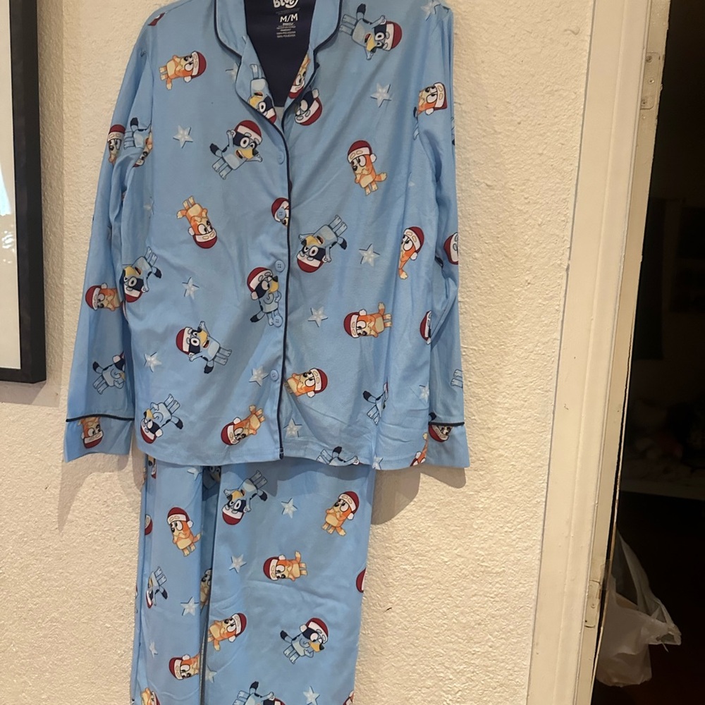 COPY - Ladies character/flannel style pj set (XXL)